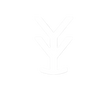 Double Y Brand Decal